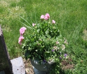 2021 05 22 SiousFalls 009